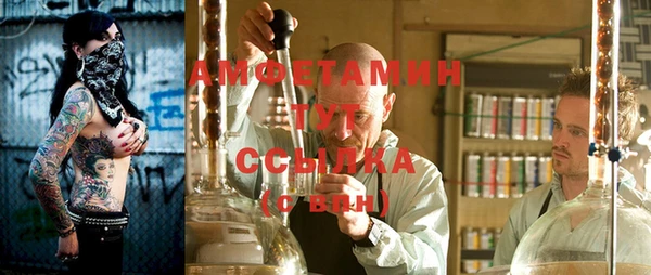 шишки Алексеевка