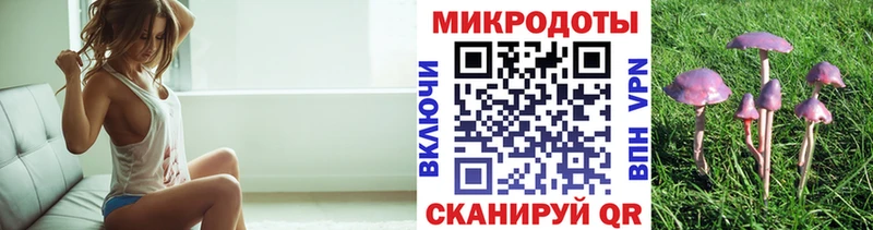 как найти   Томари  Псилоцибиновые грибы прущие грибы 
